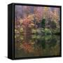 Eagle Creek City Park, Indianapolis, Indiana, Usa-Anna Miller-Framed Stretched Canvas