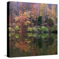 Eagle Creek City Park, Indianapolis, Indiana, Usa-Anna Miller-Stretched Canvas