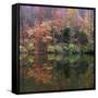 Eagle Creek City Park, Indianapolis, Indiana, Usa-Anna Miller-Framed Stretched Canvas