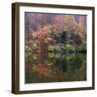 Eagle Creek City Park, Indianapolis, Indiana, Usa-Anna Miller-Framed Photographic Print