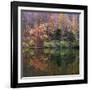 Eagle Creek City Park, Indianapolis, Indiana, Usa-Anna Miller-Framed Photographic Print