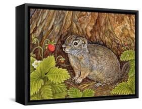 Eagle Creek, Wild Strawberry, Ground Squirrel, 1995-Ditz-Framed Stretched Canvas