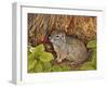 Eagle Creek, Wild Strawberry, Ground Squirrel, 1995-Ditz-Framed Giclee Print