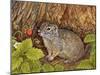 Eagle Creek, Wild Strawberry, Ground Squirrel, 1995-Ditz-Mounted Giclee Print