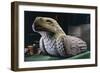 Eagle-Cuauhxicalli for Sacrificial Offerings, Andesite Statue-null-Framed Giclee Print