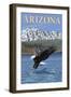 Eagle Diving - Arizona-Lantern Press-Framed Art Print