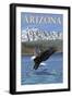 Eagle Diving - Arizona-Lantern Press-Framed Art Print