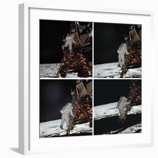 Eagle Exploration-Contemporary Photography-Framed Art Print