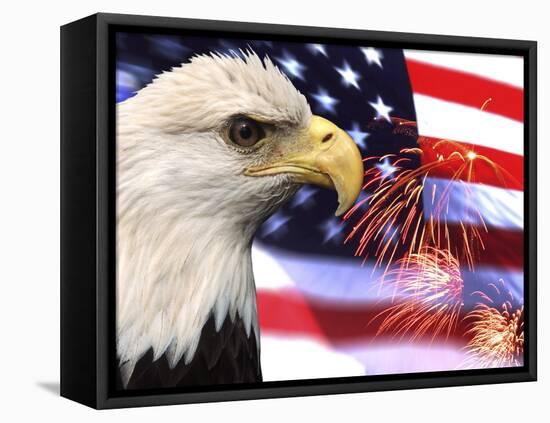 Eagle, Firework, Patriotism in the USA-Bill Bachmann-Framed Stretched Canvas