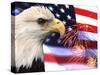Eagle, Firework, Patriotism in the USA-Bill Bachmann-Stretched Canvas