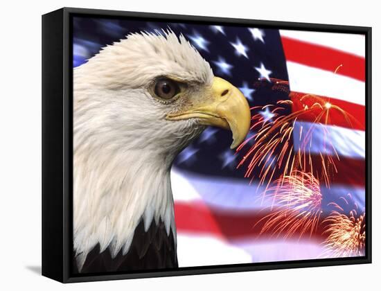 Eagle, Firework, Patriotism in the USA-Bill Bachmann-Framed Stretched Canvas