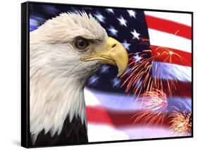 Eagle, Firework, Patriotism in the USA-Bill Bachmann-Framed Stretched Canvas