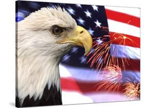 Eagle, Firework, Patriotism in the USA-Bill Bachmann-Stretched Canvas