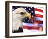 Eagle, Firework, Patriotism in the USA-Bill Bachmann-Framed Premium Photographic Print