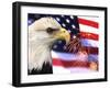 Eagle, Firework, Patriotism in the USA-Bill Bachmann-Framed Premium Photographic Print