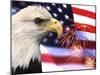 Eagle, Firework, Patriotism in the USA-Bill Bachmann-Mounted Premium Photographic Print