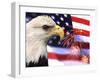 Eagle, Firework, Patriotism in the USA-Bill Bachmann-Framed Photographic Print