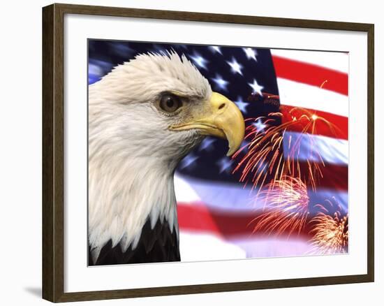 Eagle, Firework, Patriotism in the USA-Bill Bachmann-Framed Photographic Print