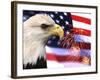 Eagle, Firework, Patriotism in the USA-Bill Bachmann-Framed Photographic Print