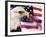 Eagle, Firework, Patriotism in the USA-Bill Bachmann-Framed Photographic Print