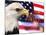 Eagle, Firework, Patriotism in the USA-Bill Bachmann-Mounted Photographic Print