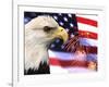 Eagle, Firework, Patriotism in the USA-Bill Bachmann-Framed Photographic Print