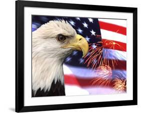 Eagle, Firework, Patriotism in the USA-Bill Bachmann-Framed Photographic Print