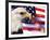 Eagle, Firework, Patriotism in the USA-Bill Bachmann-Framed Photographic Print