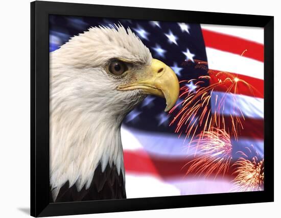 Eagle, Firework, Patriotism in the USA-Bill Bachmann-Framed Photographic Print