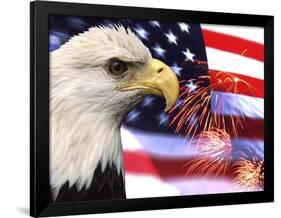 Eagle, Firework, Patriotism in the USA-Bill Bachmann-Framed Photographic Print