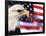 Eagle, Firework, Patriotism in the USA-Bill Bachmann-Framed Photographic Print