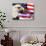 Eagle, Firework, Patriotism in the USA-Bill Bachmann-Photographic Print displayed on a wall