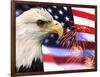 Eagle, Firework, Patriotism in the USA-Bill Bachmann-Framed Photographic Print