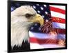 Eagle, Firework, Patriotism in the USA-Bill Bachmann-Framed Photographic Print