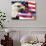 Eagle, Firework, Patriotism in the USA-Bill Bachmann-Photographic Print displayed on a wall