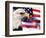 Eagle, Firework, Patriotism in the USA-Bill Bachmann-Framed Photographic Print