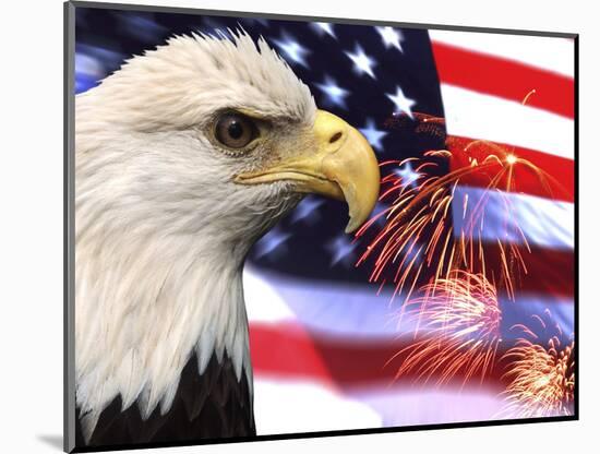 Eagle, Firework, Patriotism in the USA-Bill Bachmann-Mounted Photographic Print
