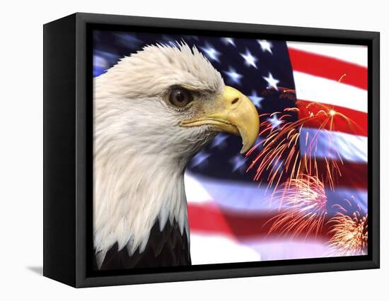 Eagle, Firework, Patriotism in the USA-Bill Bachmann-Framed Stretched Canvas