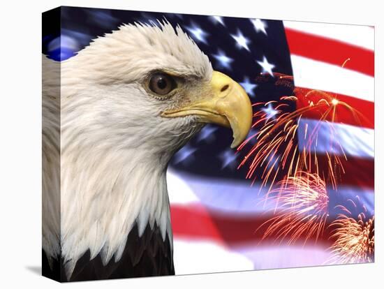 Eagle, Firework, Patriotism in the USA-Bill Bachmann-Stretched Canvas