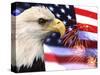 Eagle, Firework, Patriotism in the USA-Bill Bachmann-Stretched Canvas