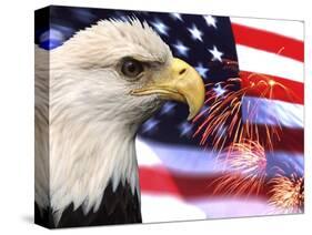 Eagle, Firework, Patriotism in the USA-Bill Bachmann-Stretched Canvas