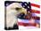 Eagle, Firework, Patriotism in the USA-Bill Bachmann-Stretched Canvas