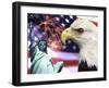 Eagle, Fireworks, Statue of Liberty-Bill Bachmann-Framed Premium Photographic Print