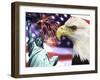 Eagle, Fireworks, Statue of Liberty-Bill Bachmann-Framed Photographic Print