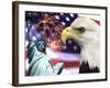 Eagle, Fireworks, Statue of Liberty-Bill Bachmann-Framed Photographic Print