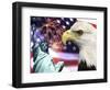 Eagle, Fireworks, Statue of Liberty-Bill Bachmann-Framed Photographic Print