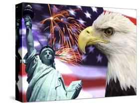 Eagle, Fireworks, Statue of Liberty-Bill Bachmann-Stretched Canvas