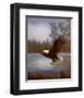 Eagle Fishing-M^ Caroselli-Framed Art Print