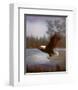 Eagle Fishing-M^ Caroselli-Framed Art Print