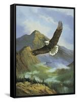 Eagle Gliding-unknown Caroselli-Framed Stretched Canvas